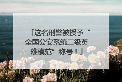 这名刑警被授予“全国公安系统二级英雄模范”称号！